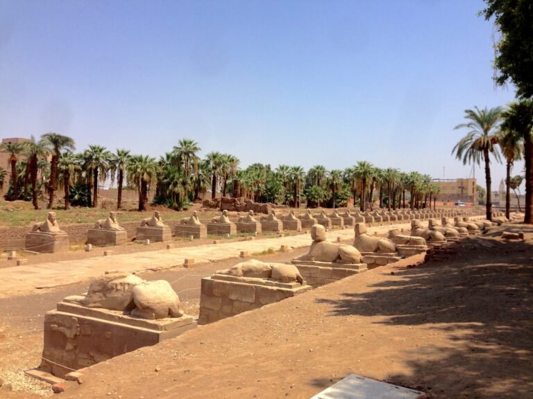 A long avenue of sphinx statues lined with palm trees in Egypt