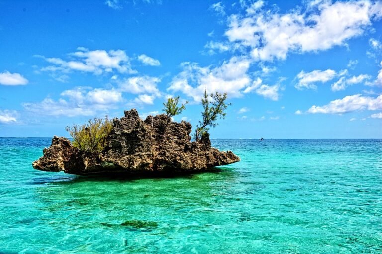 A small coral islet in a turquoise lagoon in Mauritius