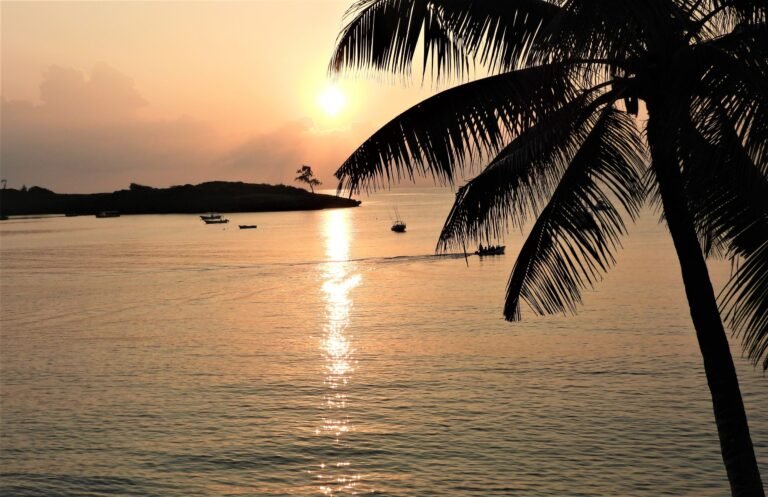 Sunrise over the sea at Watamu, framed by a palm