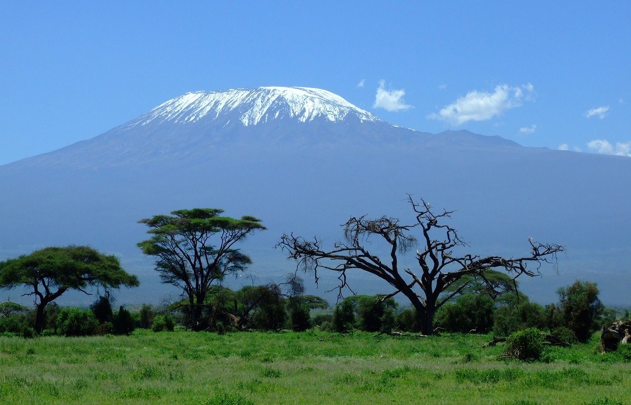 Mount Kilimanjaro above acacia trees and green plains